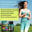 Catalog image 7